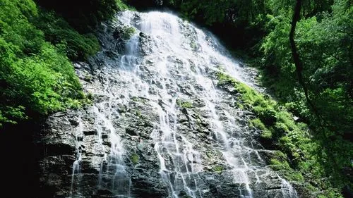 节能全自动科技